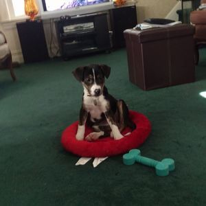 Meet your Posher, Carolyn